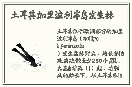 国产乱码卡二卡三卡43